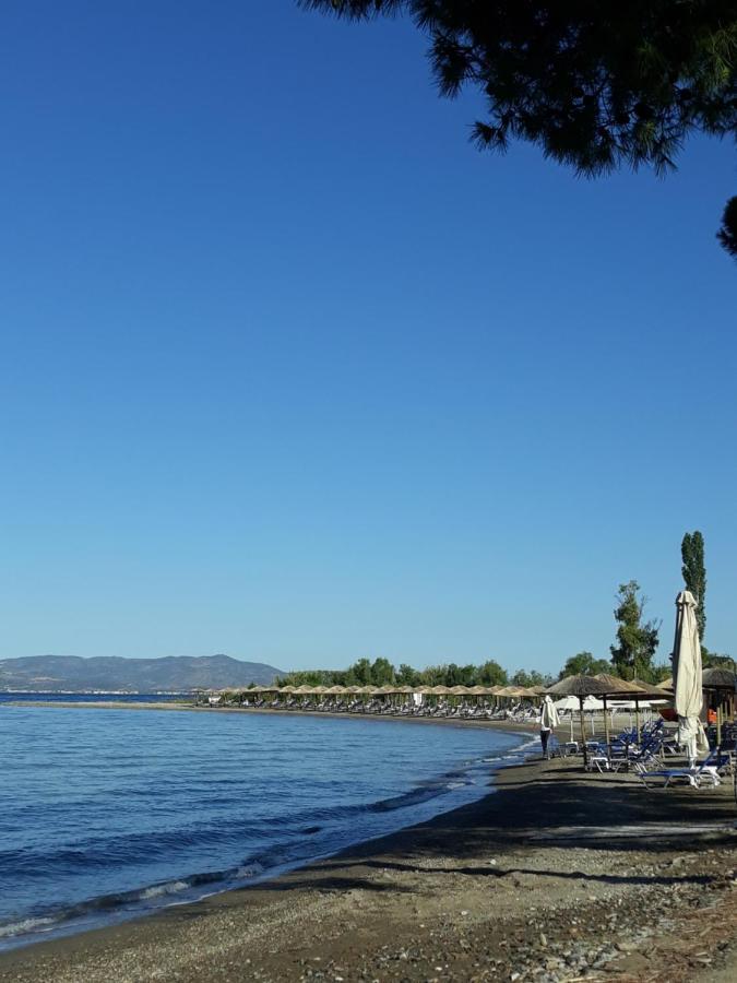 Gorjelina 'S House Villa Volos Eksteriør billede